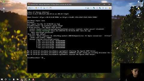 Servidor Apache en windows 10 + Ejemplos CGI