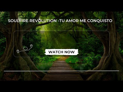 Soulfire Revolution TU