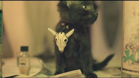 Medello Boma - Bull Cow (Official Music Video)