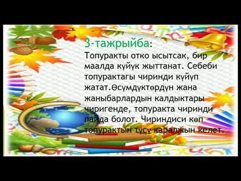 Video: Дубалдарды текстуралоонун 4 жолу