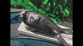 Walking Around the Great Lakes Aquarium in Duluth, Minnesota with NOAA Weather Radio