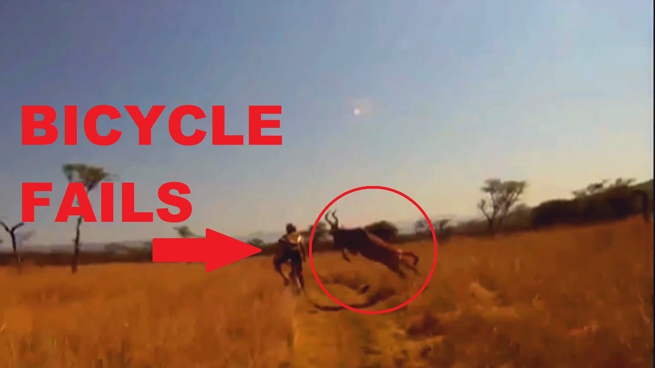 NEW Fail Compilation | Bicycle Fails | 2017 Week 33 | ★FULL HD★ - YouTube