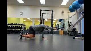 Quadruped Single Arm Cable Pulldown (Knees Up)