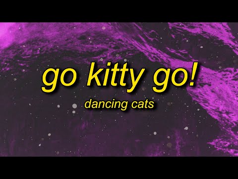 Go Kitty Go! (sped up) Lyrics | go kitty go kitty go kitty ride