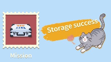 Storage Master Game Level Mission