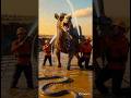 Camel Trapped by Deadly Creatures 😱 | Shocking Rescue Saved His Life! 🐪🚨#shorts