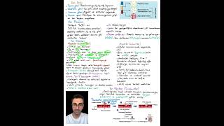 Dolaşım Sistemi - Kan Doku