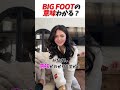 【英語学習】BigFootの意味わかる? #はんネキ #shorts