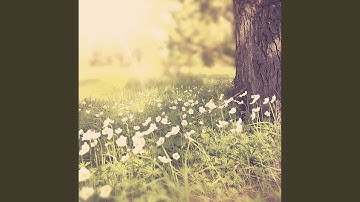 Pulsating Time Off Work