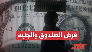 تقرير بلومبرج عن المضاربات على سعر الجنيه واجتماع مجلس محافظي صندوق النقد بخصوص قرض مصر