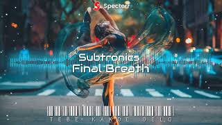 [TKD-fm] Subtronics - Final Breath