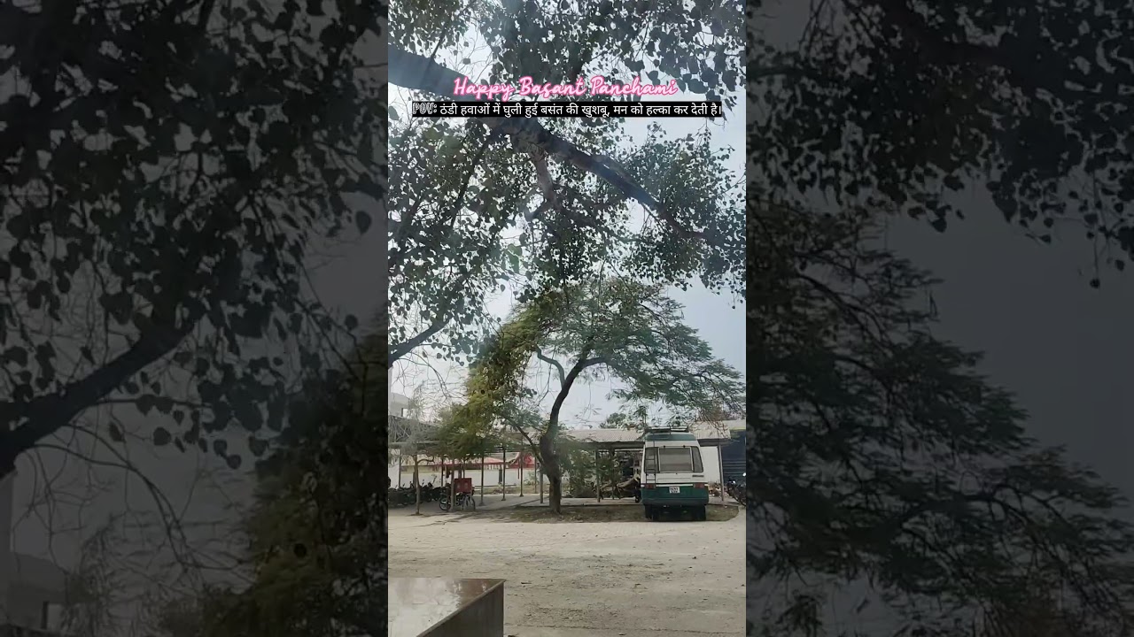 Happy basant panchami 😍🙏 