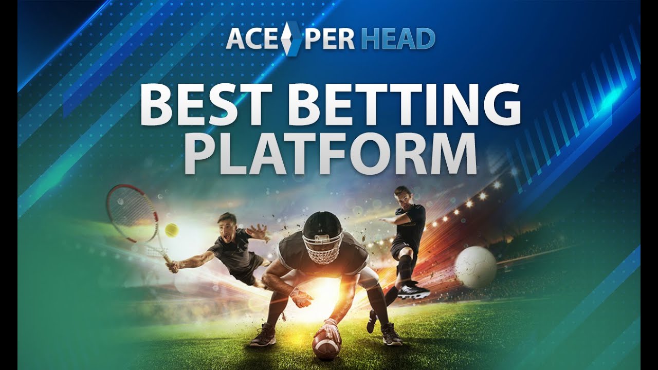 3 Sportsbook Platform Features - Best Mobile Betting Software