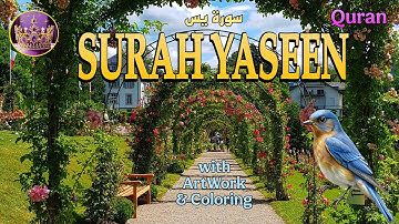 quran | Surah Yaseen (Yasin) for Healing | Relieve Stress, Depression & Anxiety | سورة يس