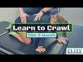 DNS 9 Month Crawling Exercise | Chesterfield Chiropractor