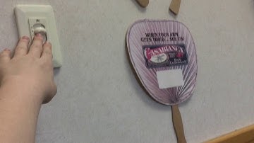 Fanimation Brewmaster Ceiling Fan In Tom’s Office At Fanimation