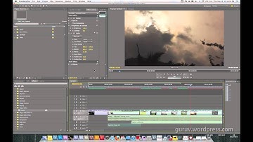 Adding Effects to multiple clips in Premiere Pro CS5