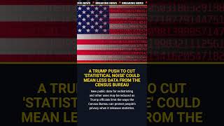 A Trump push to cut statistical noise could mean less data from the Census Bureau