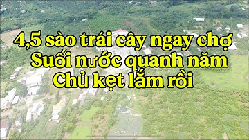 (Đã bán)Kẹt ngân hàng đành cắt bán 4,5 sào vườn trái cây ngay trung tâm xã láng lớn view suối 