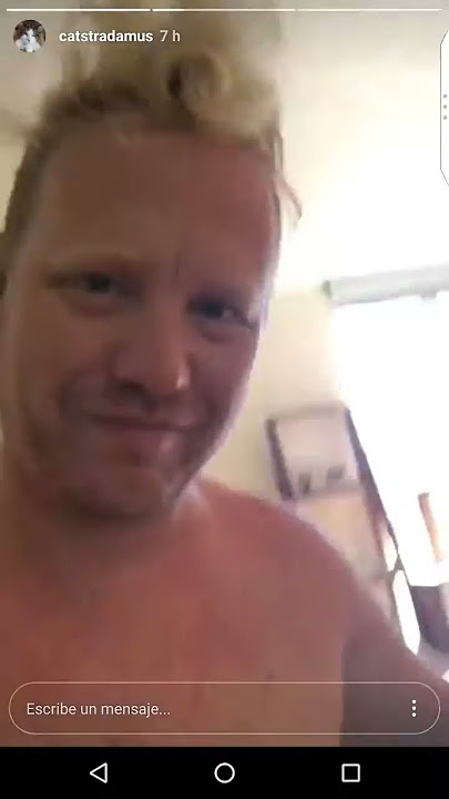 Catstradamus (Samson), the largest cat in NYC (Instagram story 06-26-17)