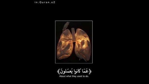 تلاوه تبعث الطمأنينة في القلب بصوت هزاع البلوشي / Quran