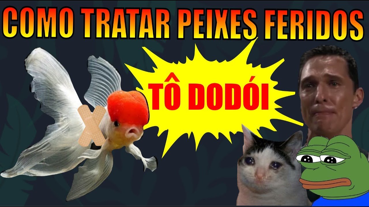 🔴PEIXE ferido! ( COMO TRATAR )