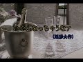 (カラオケ) いやんなっちゃうなァ / 尾形大作