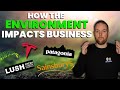 Business and Environmental Impact Quiz
