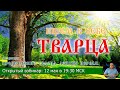 Ищем в себе Тварца. Курс: Пробуждение Тварца. Занятие 1.