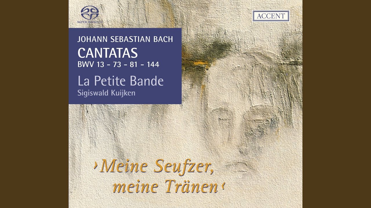 Herr, wie du willt, so schick's mit mir, BWV 73: Aria: Herr, so du willt (Bass)