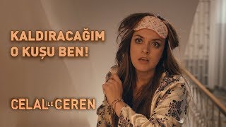 Kaldıracağım O Kuşu Ben - Celal İle Ceren Resimi