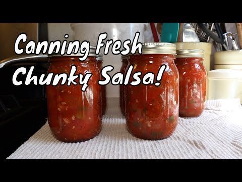 Chunky Canned Salsa - Dish 'n' the Kitchen
