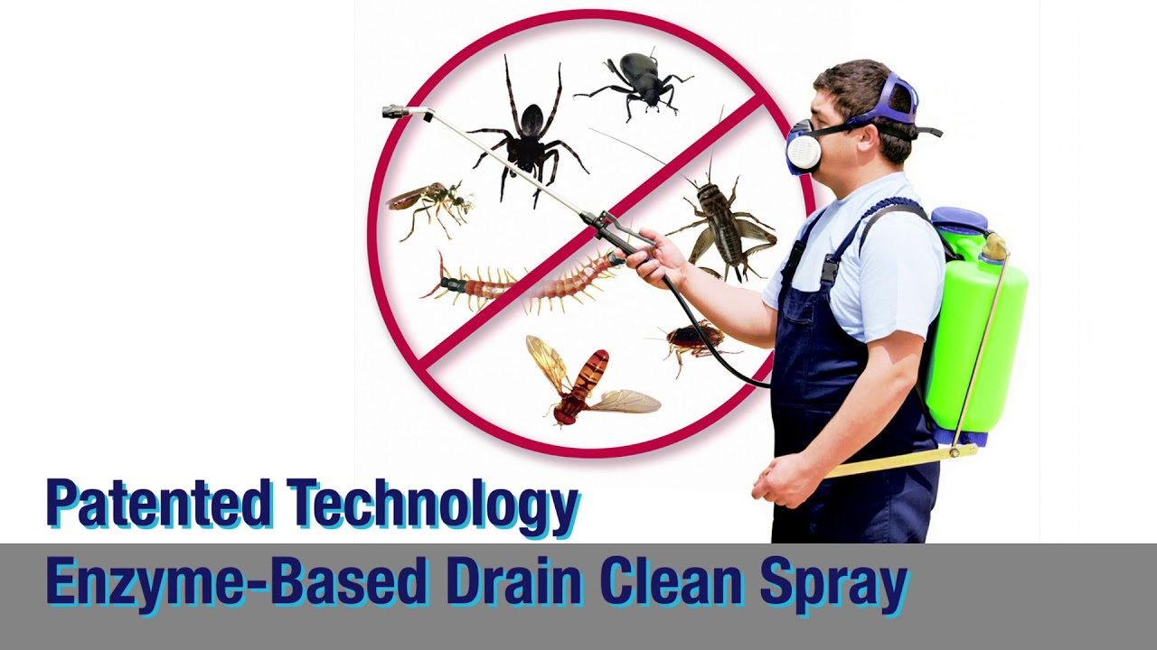 Top Notch Pest Control Service Ad Film. YouTube