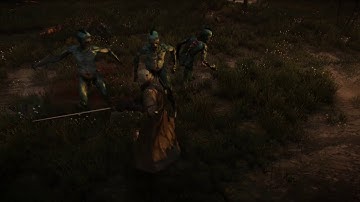 The Witcher 3 | mod CombatSkills in action