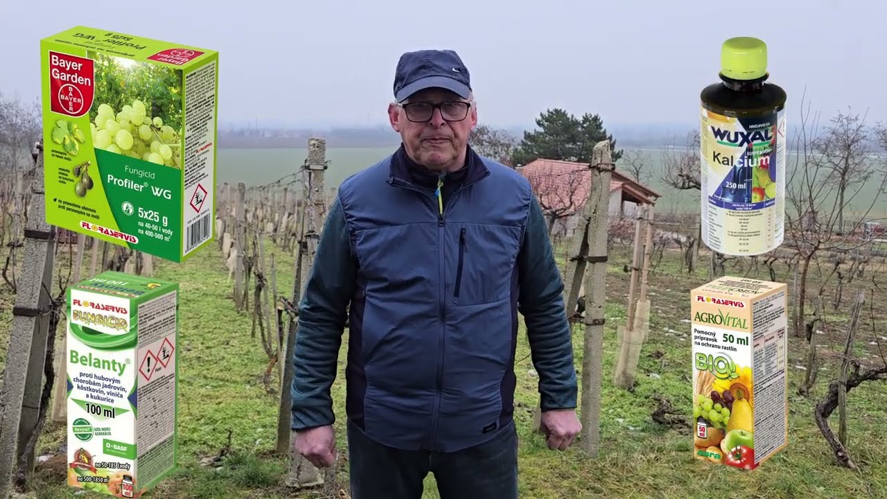 Postrekový plán vo vinohrade 2026