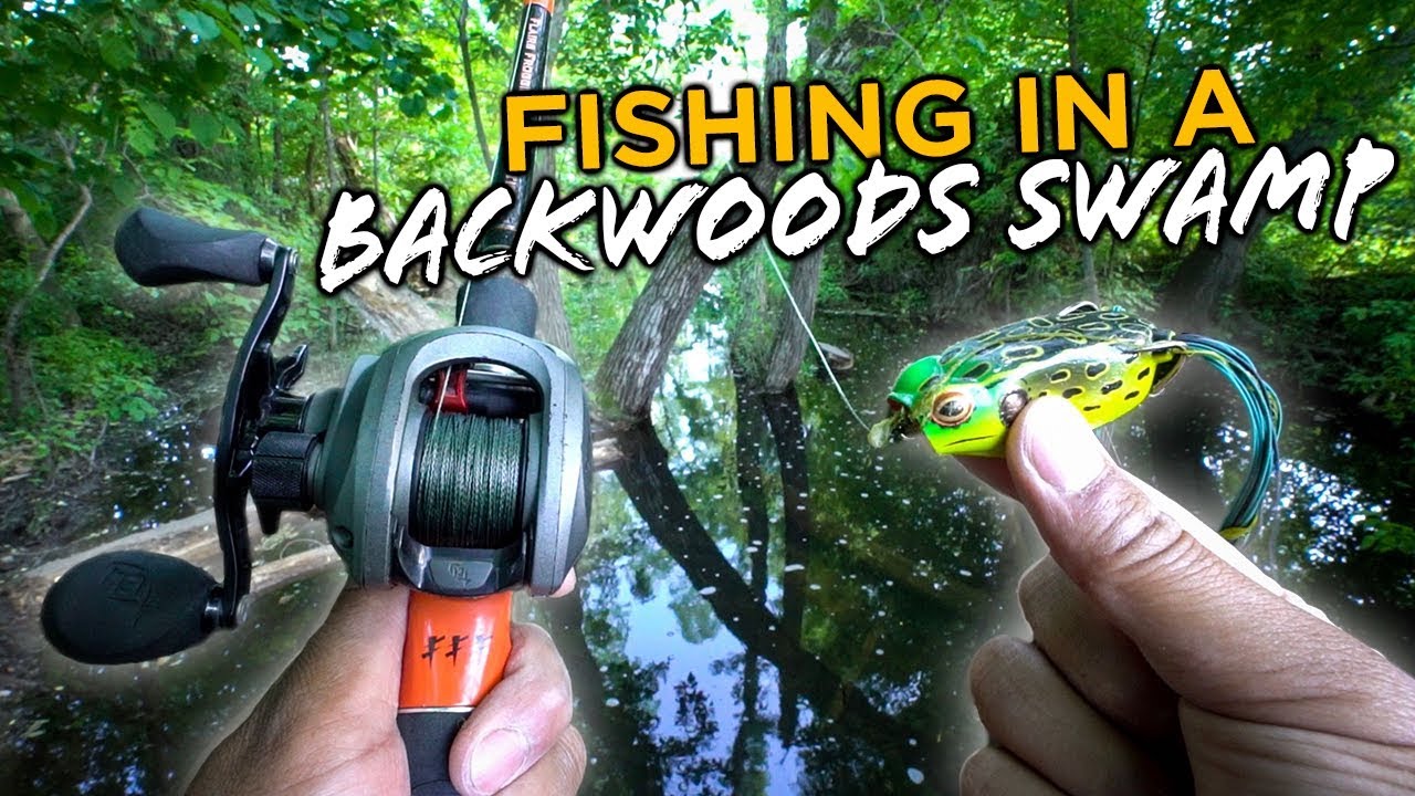 Catching Fish In A BACKWOODS SWAMP w/ MinnDak Outdoors! 