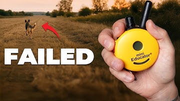 3 HUGE E-Collar Mistakes Causing RECALL Issues