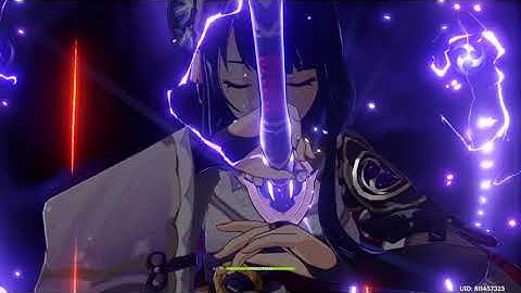 Average Raiden Shogun EI C2 Engulfing Lighting R1 Damage