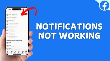 How to Fix Notifications Not Working on Facebook