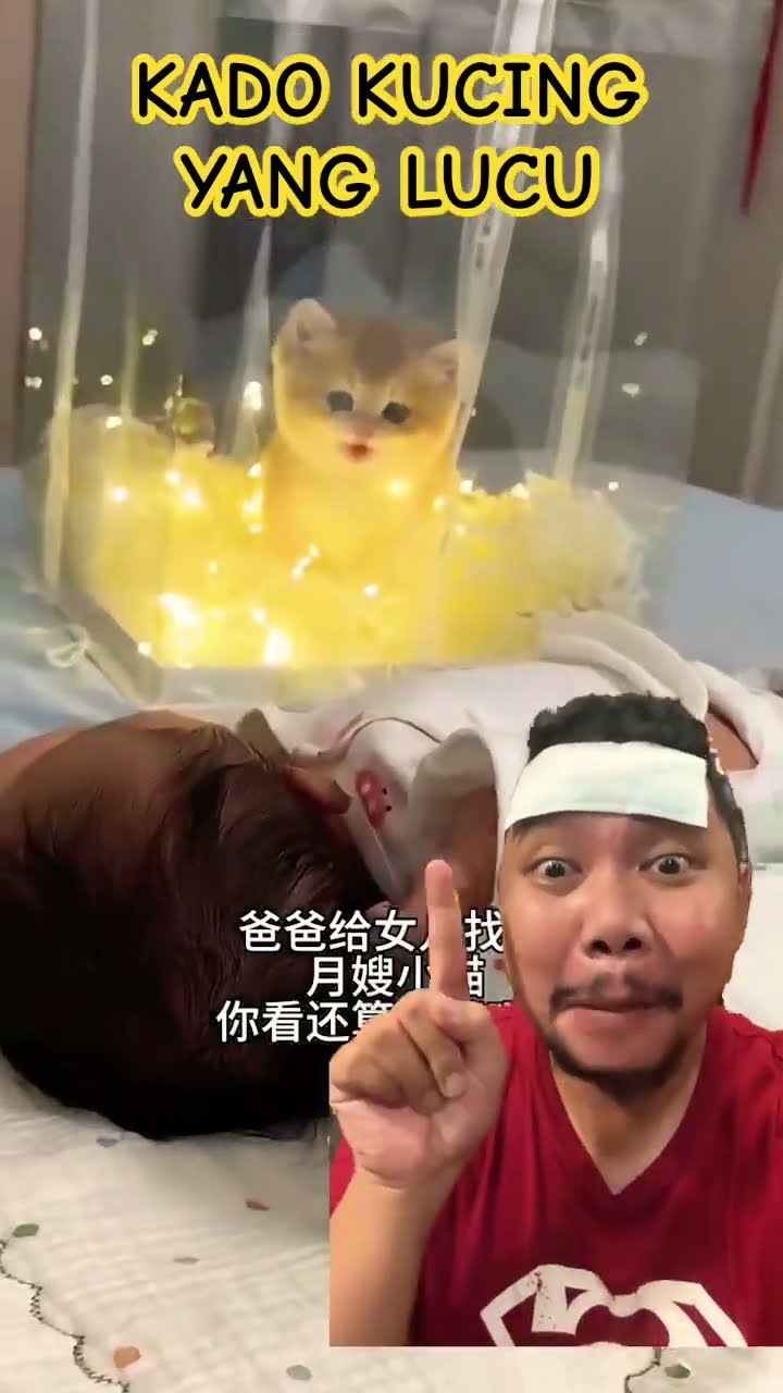 ADEK DAPAT KADO KUCING YANG LUCU!!!??#shortsfeed #shorts #funny #shortsviral #cute