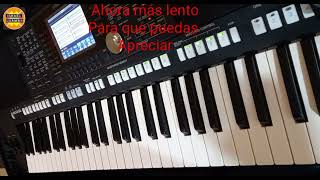 Vignette de la vidéo "Bajo la sombra de un arbolito en Em (Piano)"