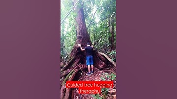 Guided tree hugging theraphy