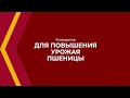 Онлайн курс обучения «Растениеводство» - 9 секретов для повышения урожая пшеницы