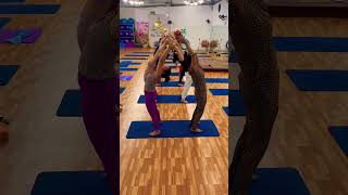 Yoga for fitness #shorts #funny #yogaflow #surya