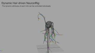 Dynamic Neuron Rig Test