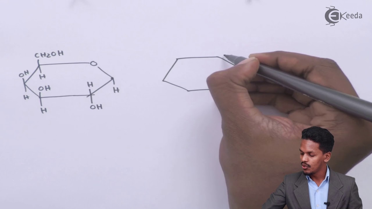 Structure of Lactose Biomolecules Chemistry Class 12 YouTube