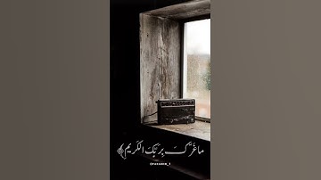 القران الكريم 564