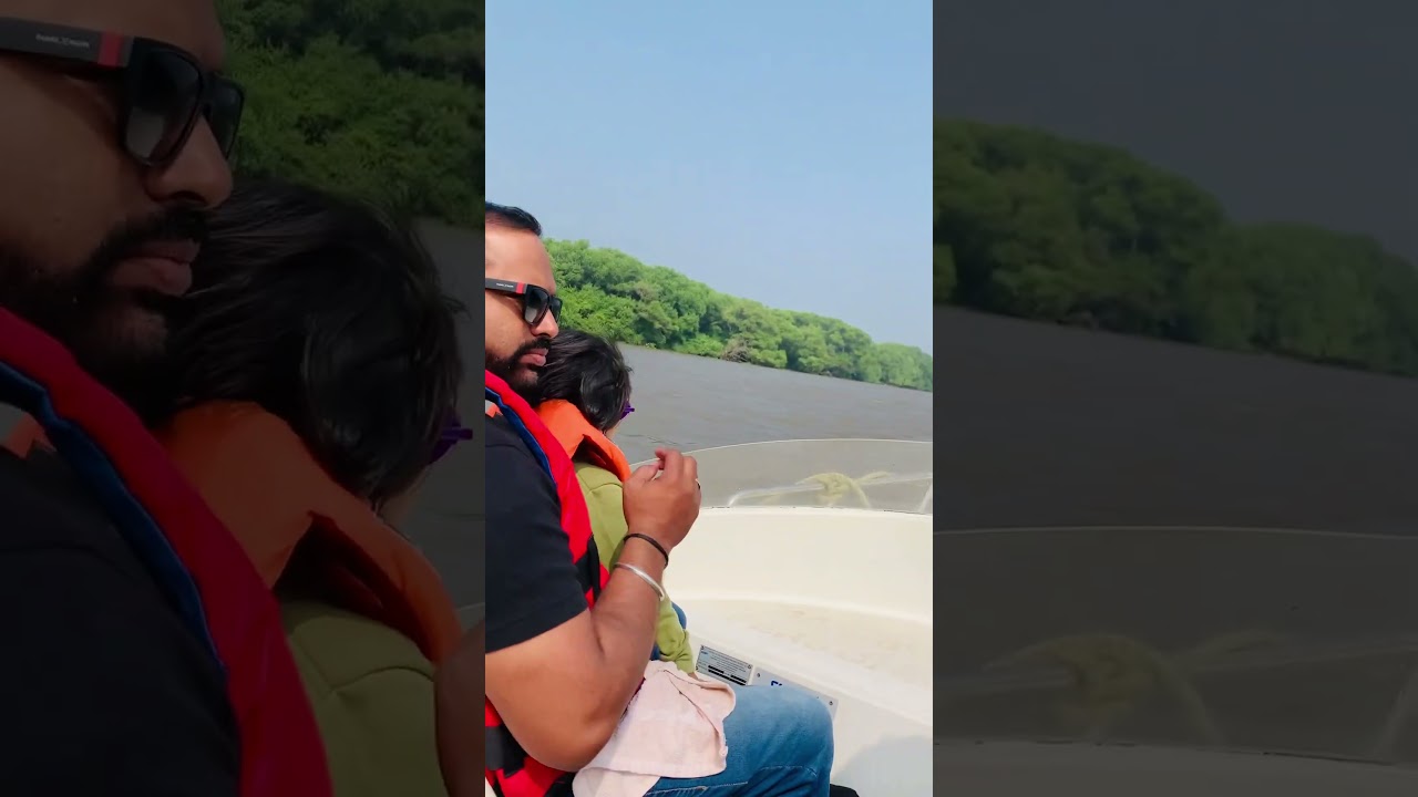 Mangrove Forest at Coringa