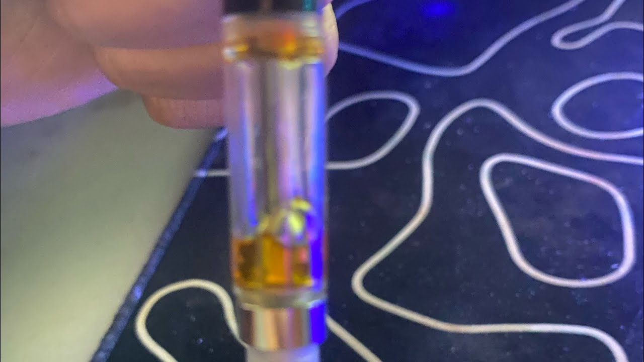 We Back!!!!!!(10$ budget cart review)