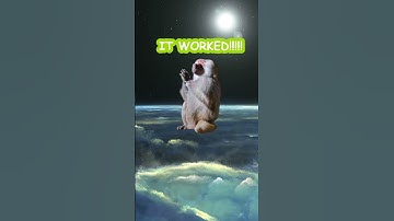 I Tried Spinning Super Fast and THIS Happened! #monkey #funny